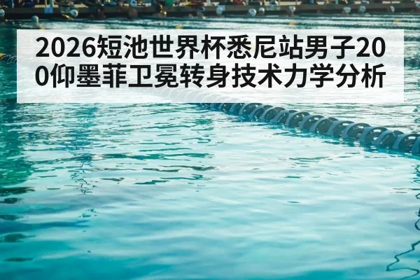 swimming pool lanes